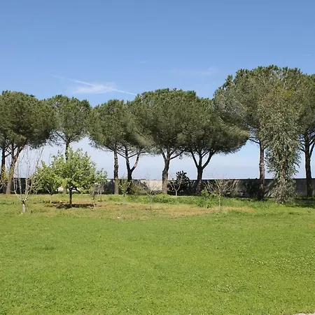 16 Pini Bed & Breakfast