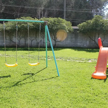 16 Pini